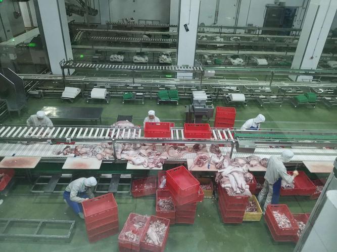 海口市农业农村局局长陈芳调研农产品产销和非洲猪瘟防控情况